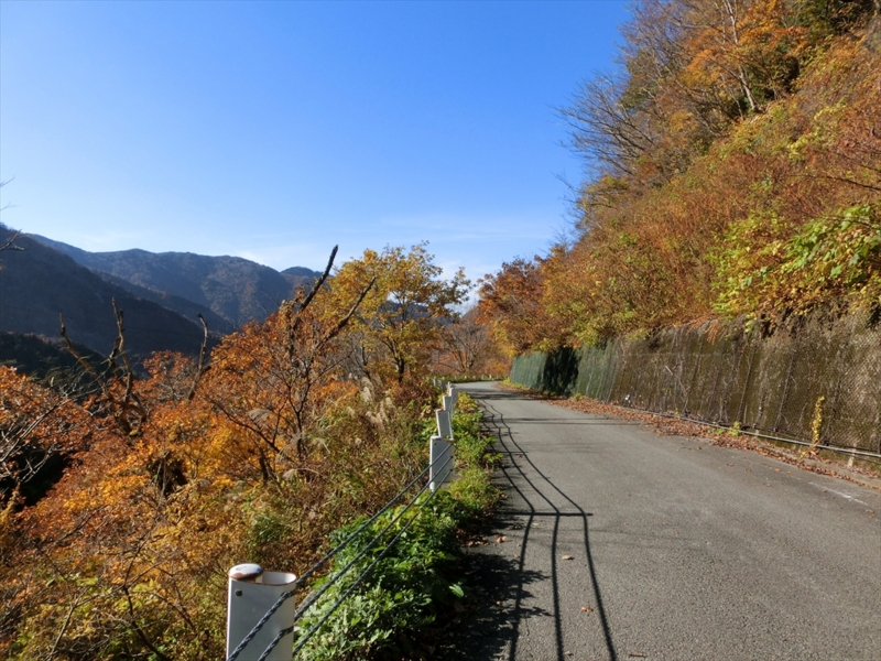 f:id:Margatroid:20160609125107j:plain