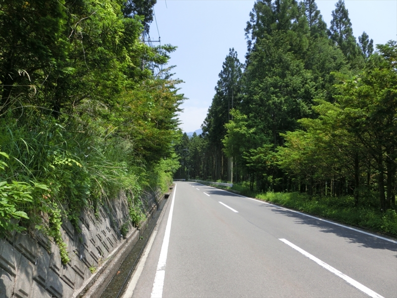 f:id:Margatroid:20160726172912j:plain