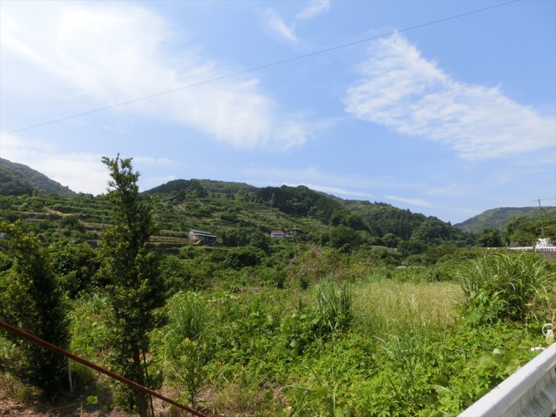 f:id:Margatroid:20160726172950j:plain
