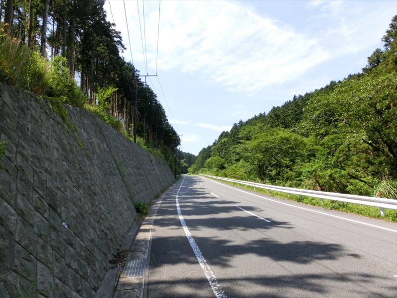 f:id:Margatroid:20160726172954j:plain