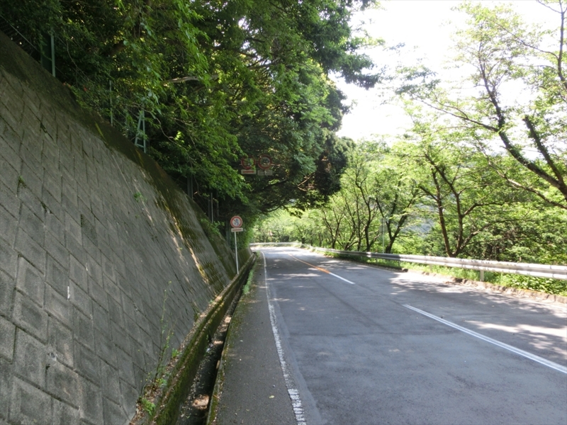 f:id:Margatroid:20160726172957j:plain