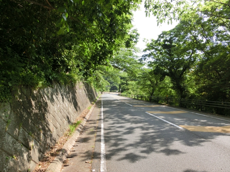 f:id:Margatroid:20160726174235j:plain