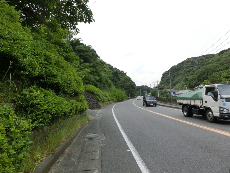 f:id:Margatroid:20160726174256j:plain