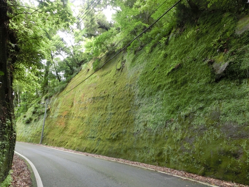 f:id:Margatroid:20160731213101j:plain f:id:Margatroid:20160731213101j:plain