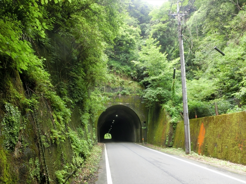 f:id:Margatroid:20160731213106j:plain f:id:Margatroid:20160731213106j:plain