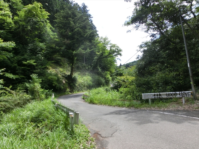 f:id:Margatroid:20160731213114j:plain f:id:Margatroid:20160731213114j:plain