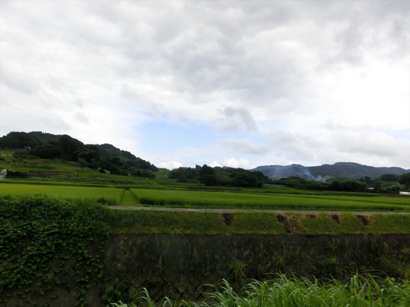 f:id:Margatroid:20160731213129j:plain f:id:Margatroid:20160731213129j:plain