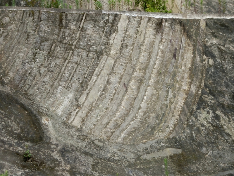 f:id:Margatroid:20160731213149j:plain f:id:Margatroid:20160731213149j:plain