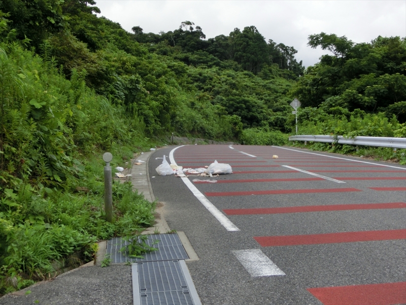 f:id:Margatroid:20160731213151j:plain f:id:Margatroid:20160731213151j:plain