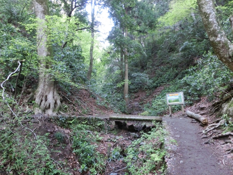 f:id:Margatroid:20161223225923j:plain