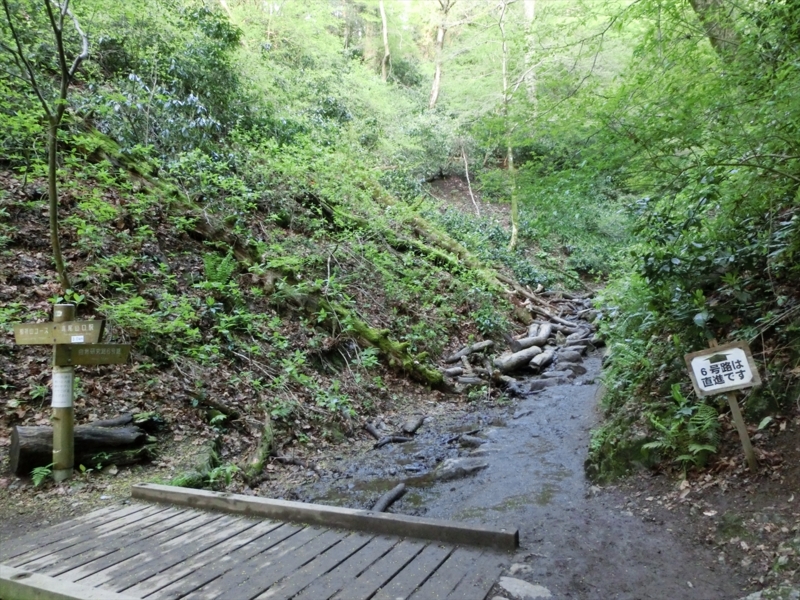 f:id:Margatroid:20161223225924j:plain