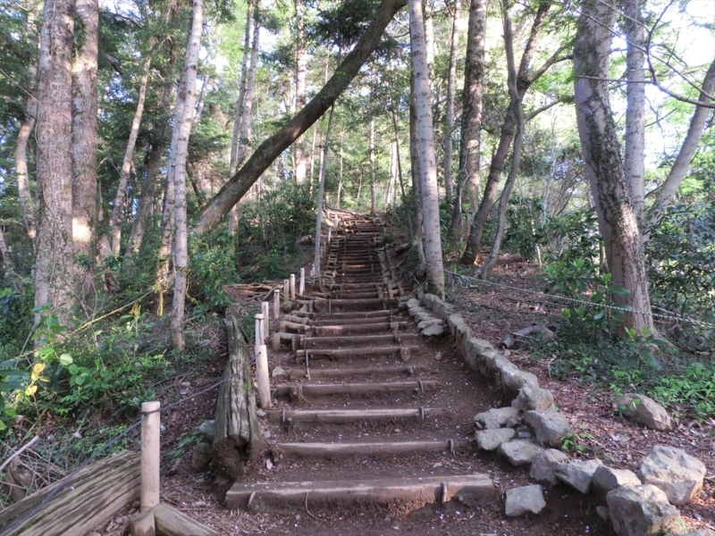 f:id:Margatroid:20161223225926j:plain