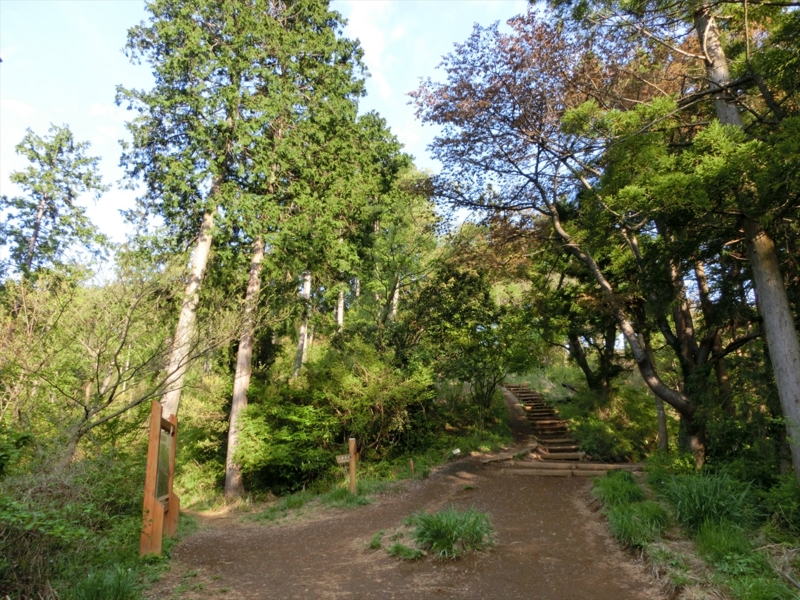 f:id:Margatroid:20161223225935j:plain