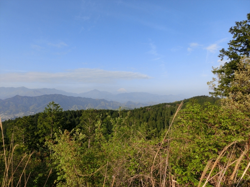 f:id:Margatroid:20161223225937j:plain