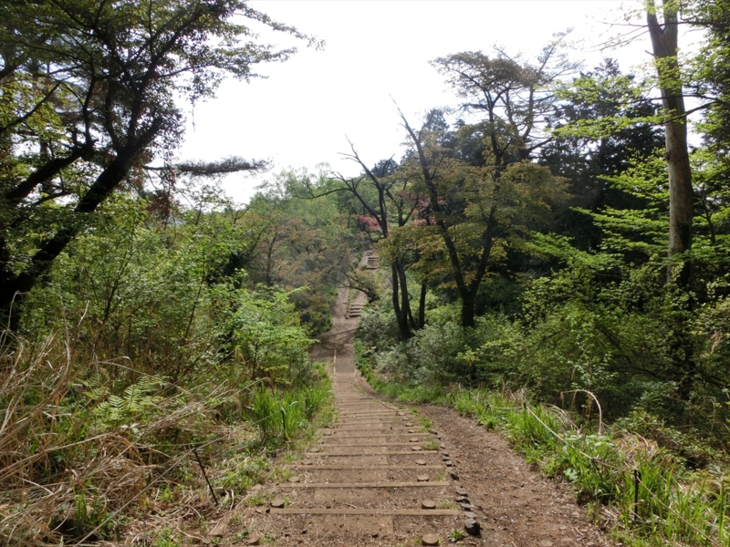 f:id:Margatroid:20161223225949j:plain