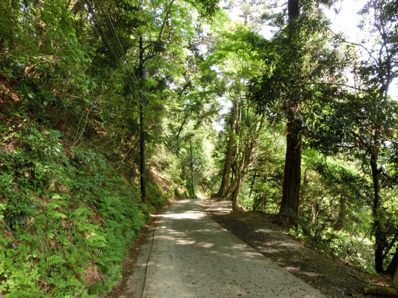 f:id:Margatroid:20161223230001j:plain