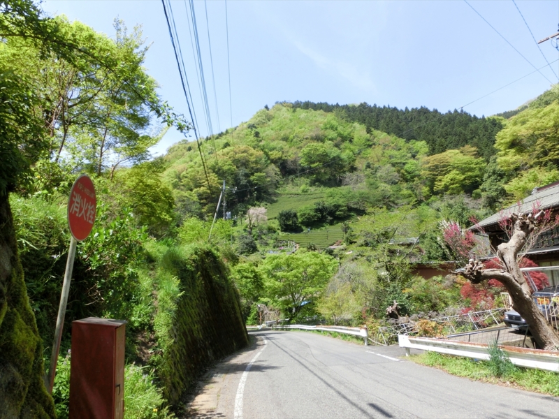 f:id:Margatroid:20161223230011j:plain