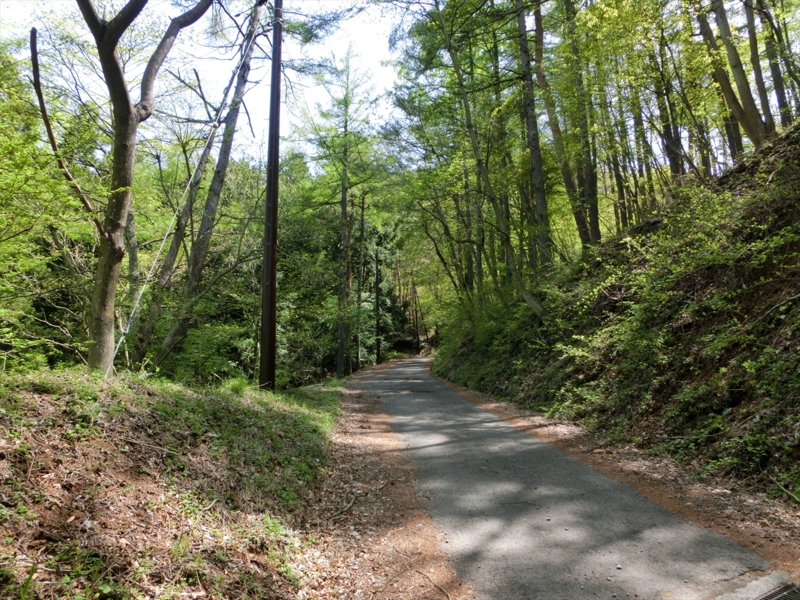 f:id:Margatroid:20161223230050j:plain