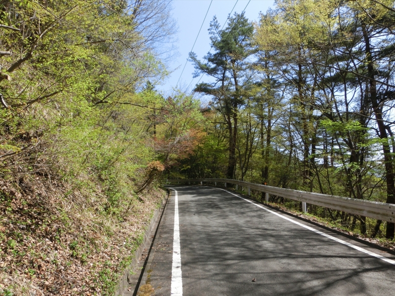 f:id:Margatroid:20161223230051j:plain