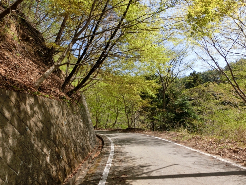 f:id:Margatroid:20161223230052j:plain