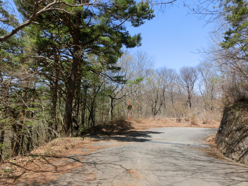 f:id:Margatroid:20161223230105j:plain