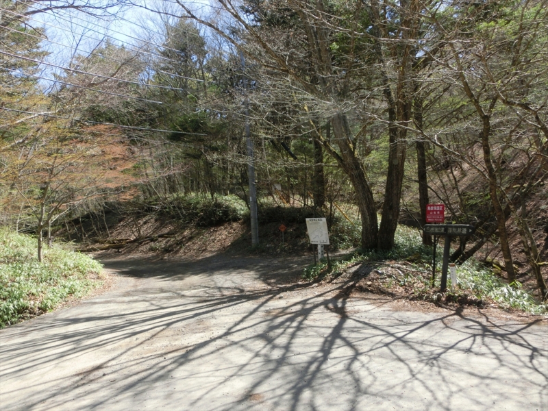 f:id:Margatroid:20161223230106j:plain