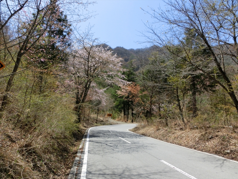 f:id:Margatroid:20161223230116j:plain