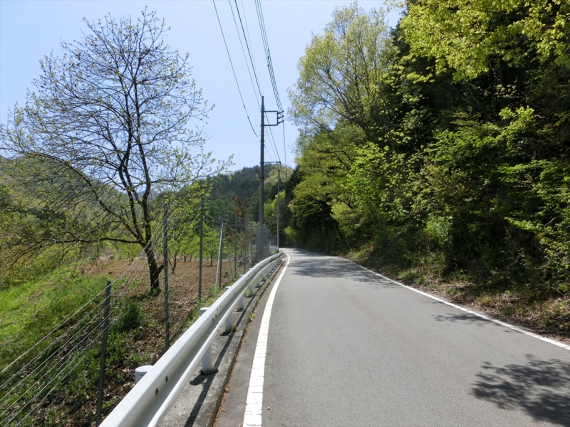 f:id:Margatroid:20161223230121j:plain