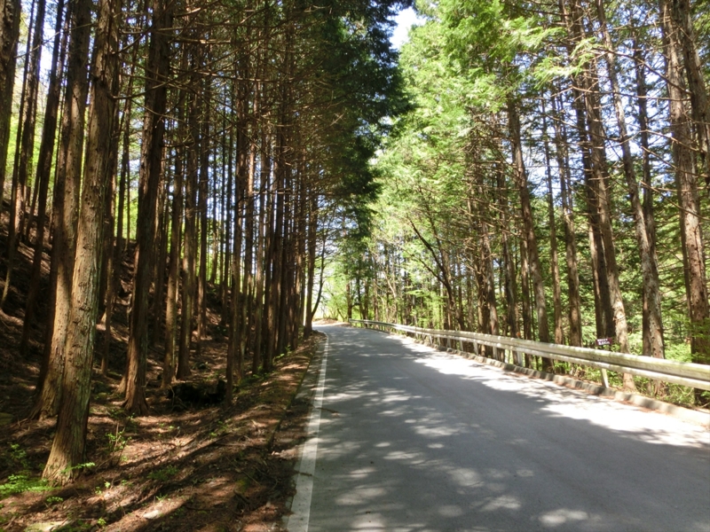 f:id:Margatroid:20161223230122j:plain