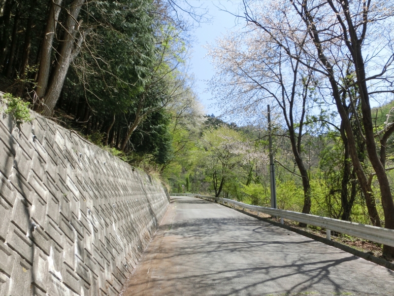 f:id:Margatroid:20161223230123j:plain