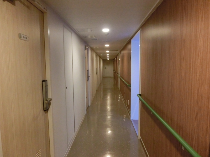 f:id:Margatroid:20170103164954j:plain