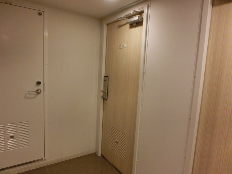 f:id:Margatroid:20170103164955j:plain