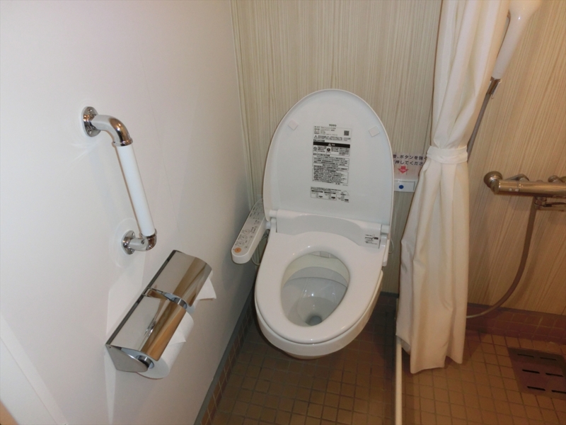 f:id:Margatroid:20170103165001j:plain