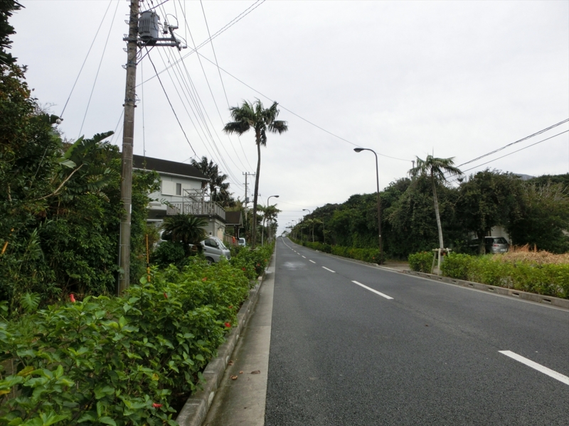 f:id:Margatroid:20170103165026j:plain f:id:Margatroid:20170103165026j:plain