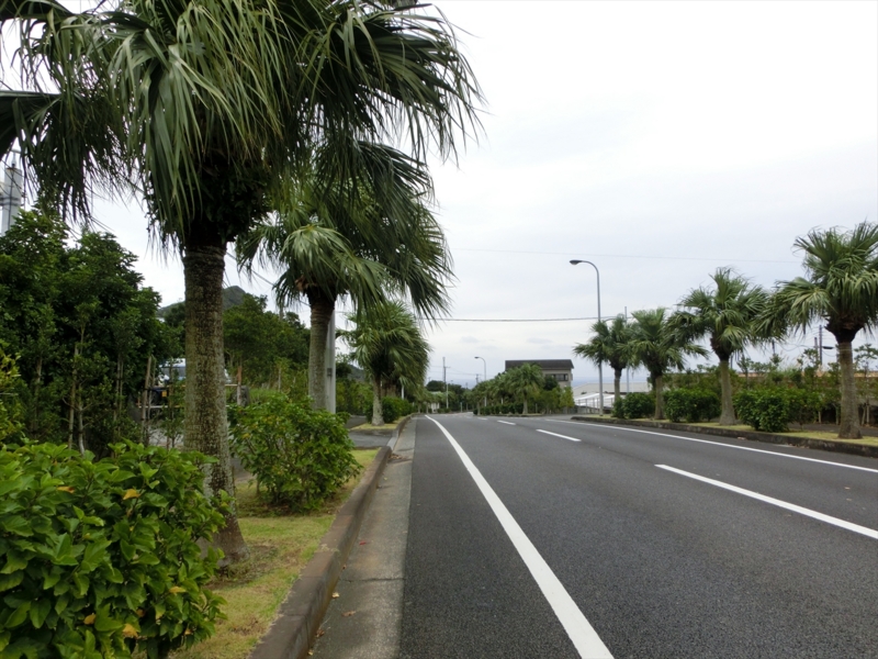 f:id:Margatroid:20170103165029j:plain f:id:Margatroid:20170103165029j:plain