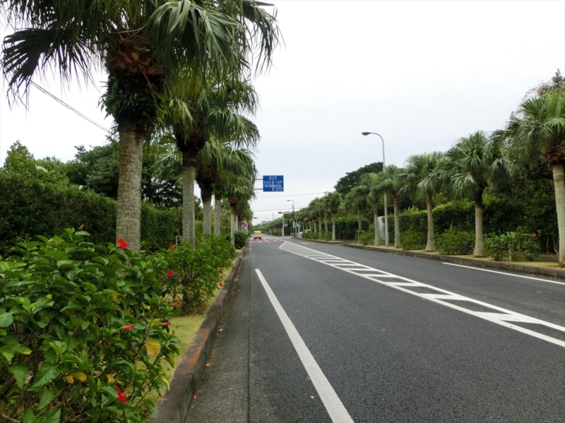 f:id:Margatroid:20170103165030j:plain f:id:Margatroid:20170103165030j:plain