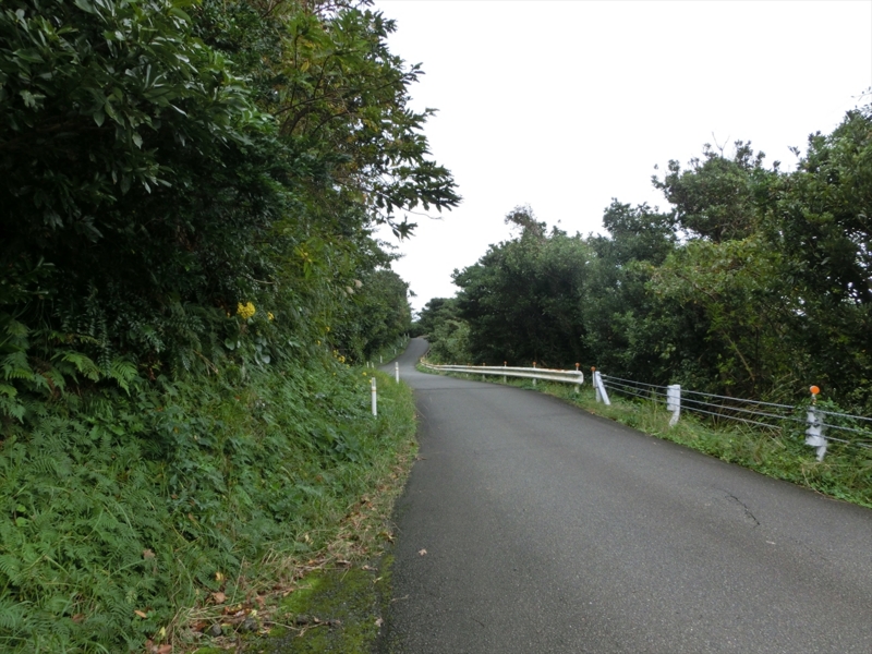 f:id:Margatroid:20170103165035j:plain f:id:Margatroid:20170103165035j:plain