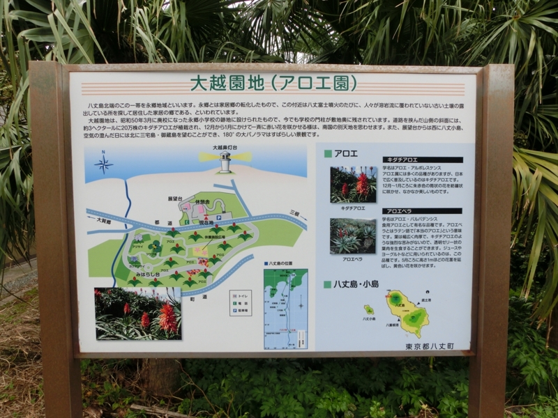 f:id:Margatroid:20170103165037j:plain f:id:Margatroid:20170103165037j:plain