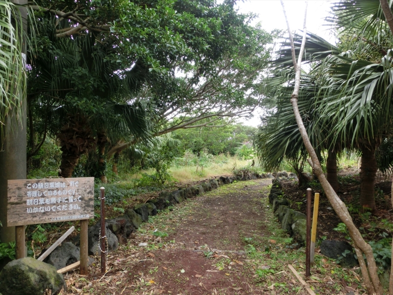 f:id:Margatroid:20170103165039j:plain f:id:Margatroid:20170103165039j:plain