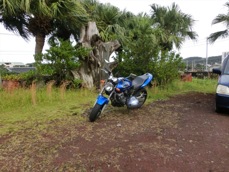 f:id:Margatroid:20170103165100j:plain f:id:Margatroid:20170103165100j:plain