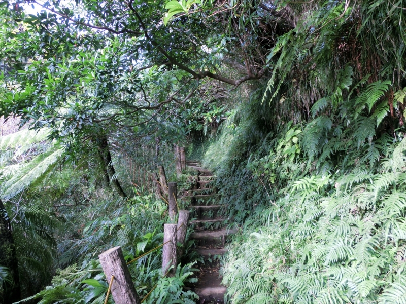 f:id:Margatroid:20170103165126j:plain f:id:Margatroid:20170103165126j:plain