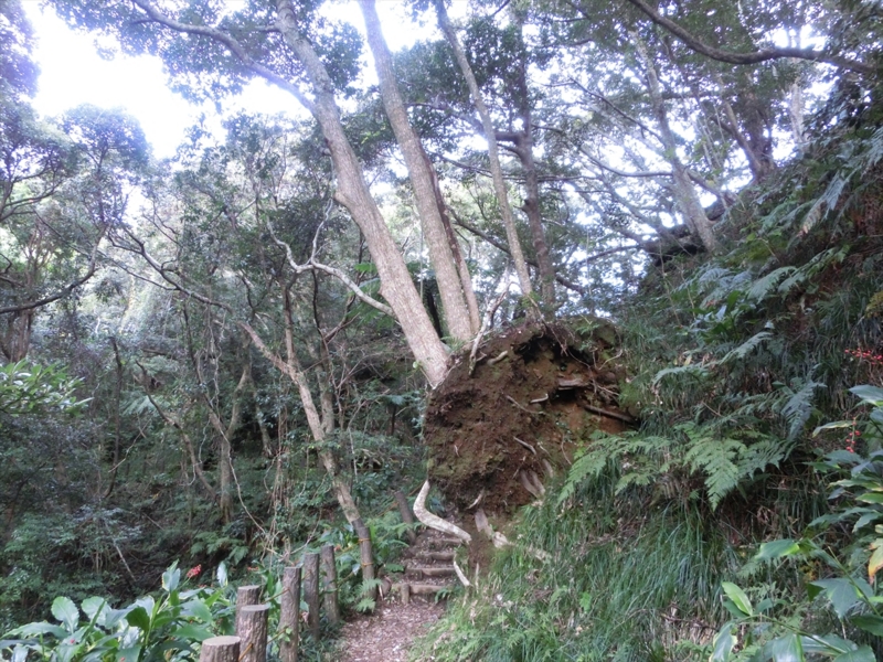 f:id:Margatroid:20170103165127j:plain f:id:Margatroid:20170103165127j:plain