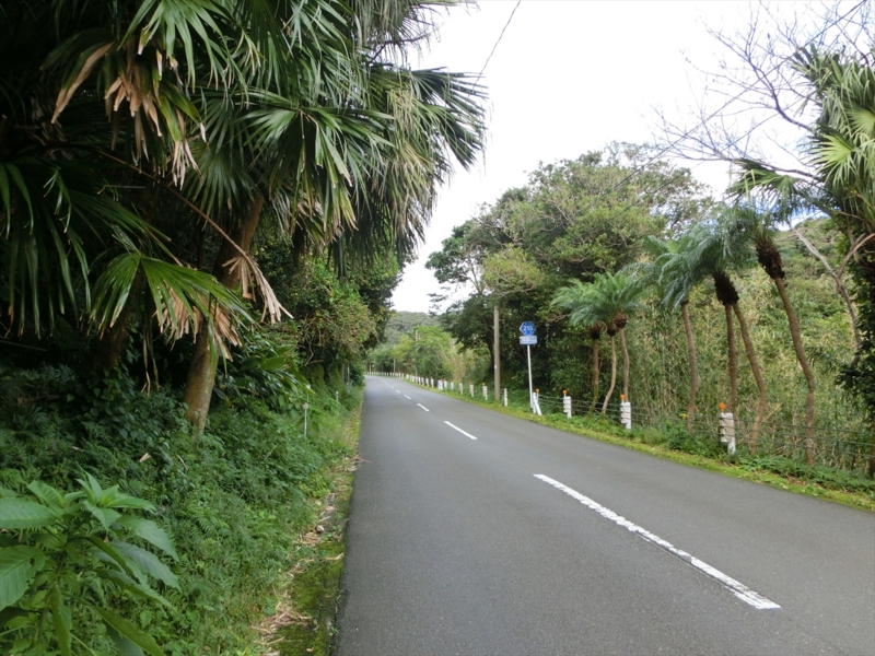 f:id:Margatroid:20170103165131j:plain f:id:Margatroid:20170103165131j:plain