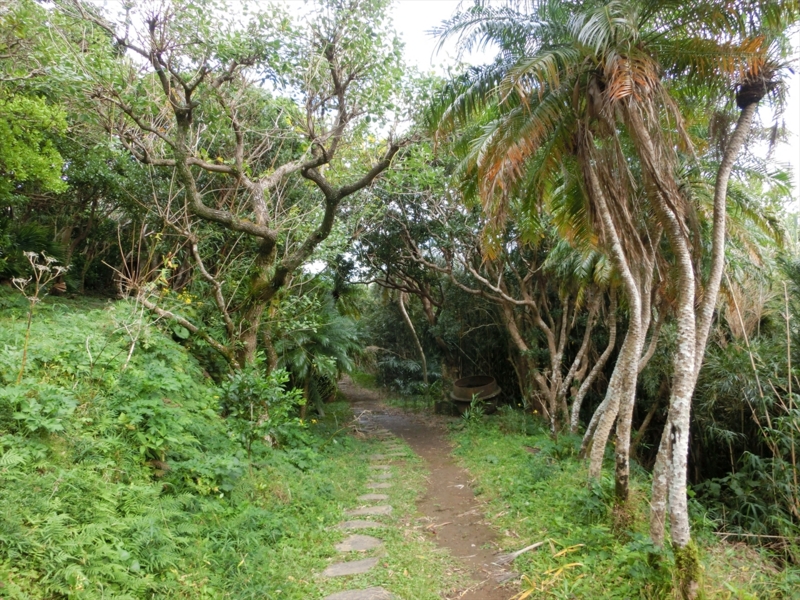 f:id:Margatroid:20170103165137j:plain f:id:Margatroid:20170103165137j:plain