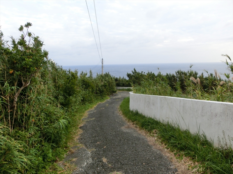 f:id:Margatroid:20170103165144j:plain f:id:Margatroid:20170103165144j:plain