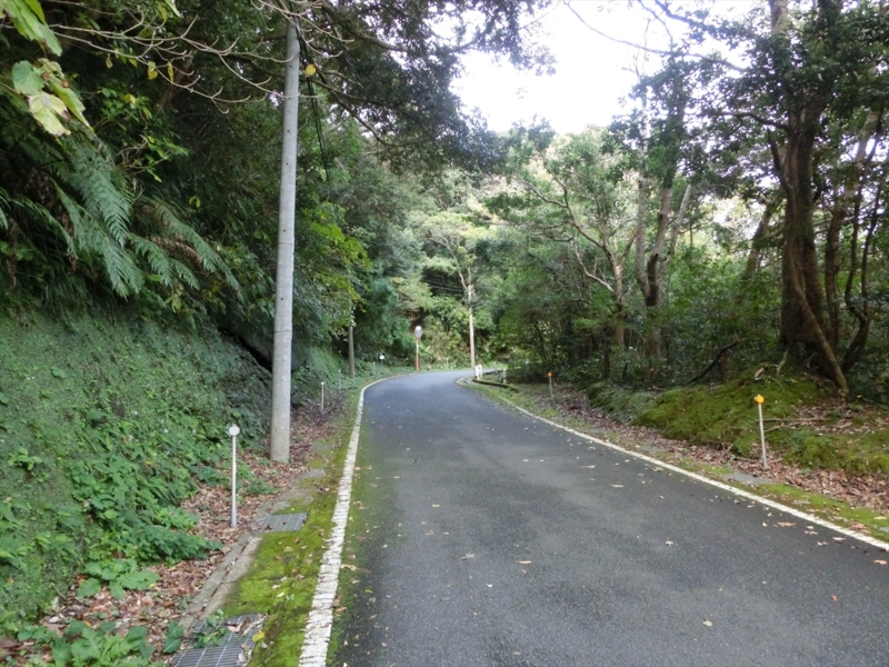 f:id:Margatroid:20170103165150j:plain f:id:Margatroid:20170103165150j:plain