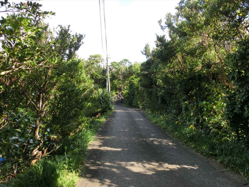 f:id:Margatroid:20170103165225j:plain f:id:Margatroid:20170103165225j:plain