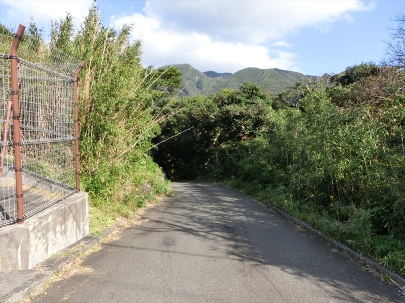 f:id:Margatroid:20170103165230j:plain f:id:Margatroid:20170103165230j:plain