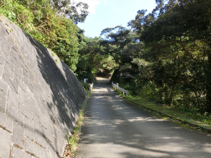 f:id:Margatroid:20170103165231j:plain f:id:Margatroid:20170103165231j:plain