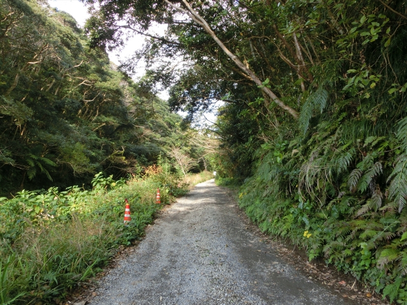 f:id:Margatroid:20170103165232j:plain f:id:Margatroid:20170103165232j:plain